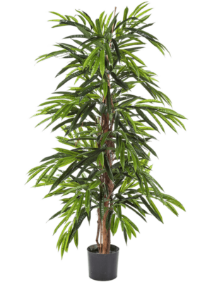 Tree (210 cm)