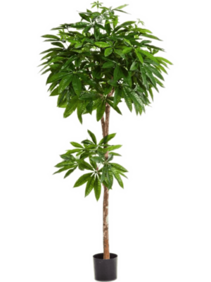 Busch (180 cm)