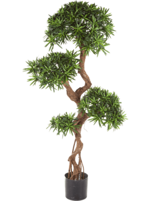 Branched