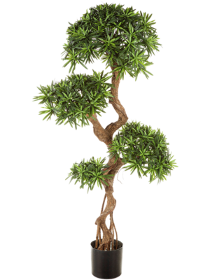 Branched