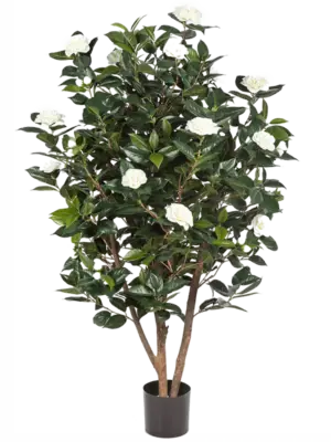 Bush Tree White