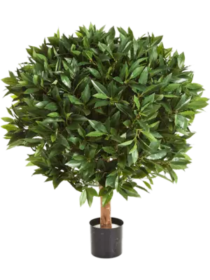 Kugel Auf Stamm (FR)