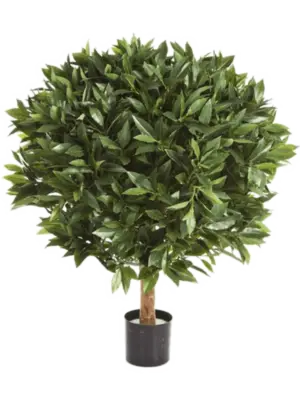 Ball De Luxe (60 cm)