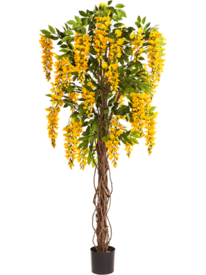 Verzweigt Yellow