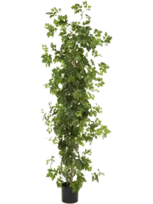 Säule