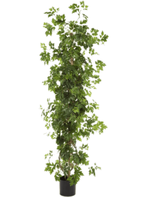 Säule