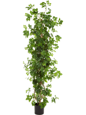 Säule