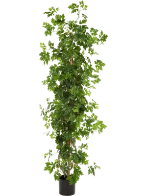 Säule