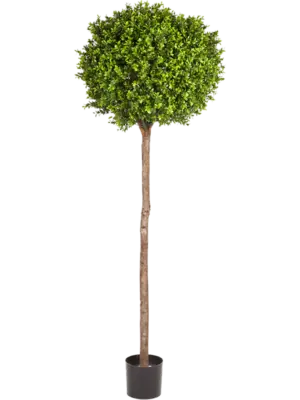 Kugel