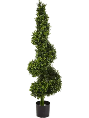 Spirale