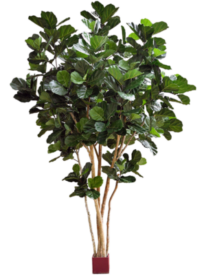 Branched
