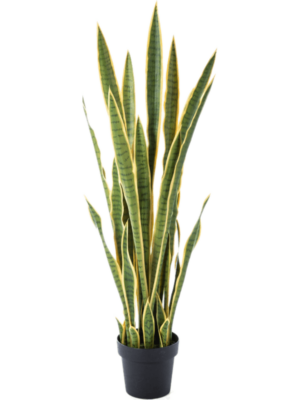 Tuft