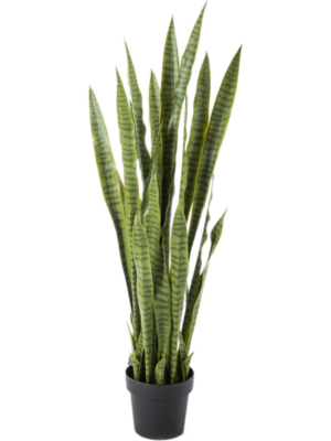 Tuft
