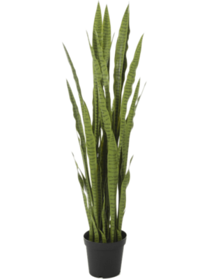 Tuft
