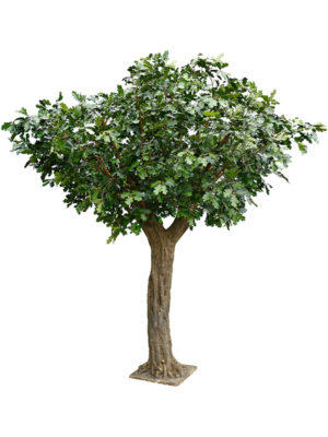 12' Tree (FR)