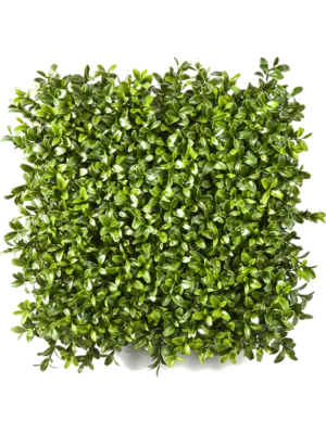 Mat