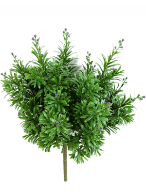 Bush Purple