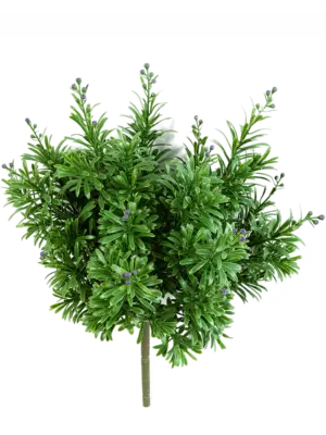 Bush Purple