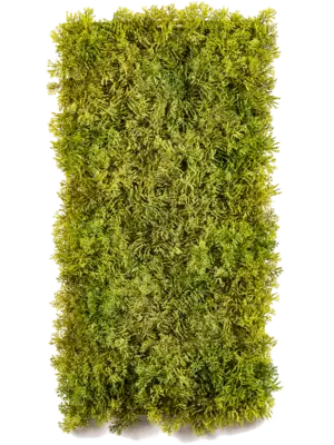 Matt Mixed Green (FR)