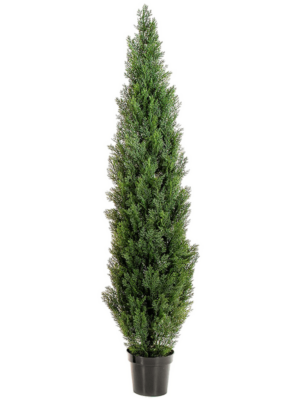 Tree Green (UV)