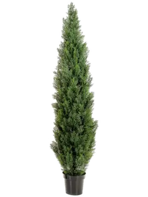 Tree Green (UV)
