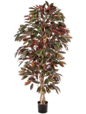 Bush Tree (210 cm)