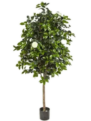 Tree (170 cm)