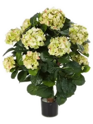Ball Pot Green/Cream