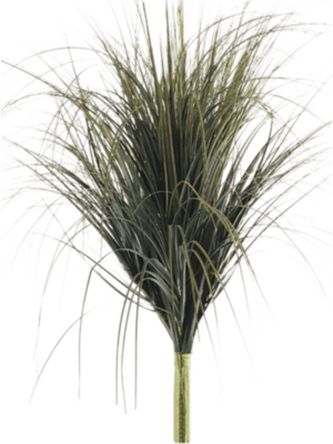 Tuft