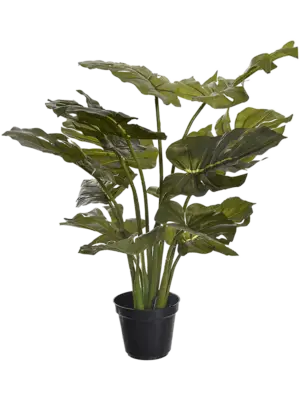 Pot Green