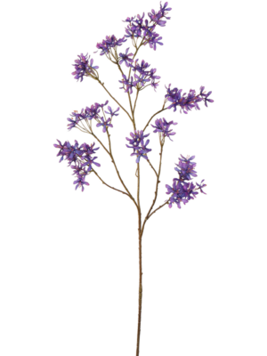 Branch Purple