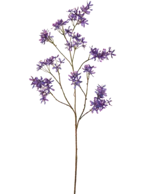 Branch Purple