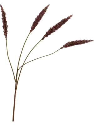 Spray Burgundy