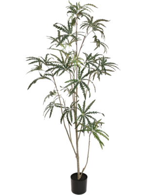 Slim Tree