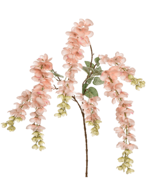 Branch Peach