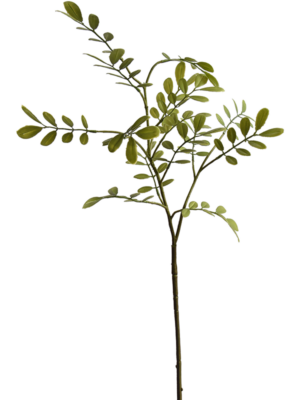 Spray Green