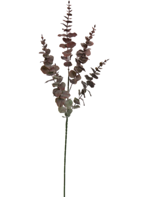 Large Plastic Burgundy
