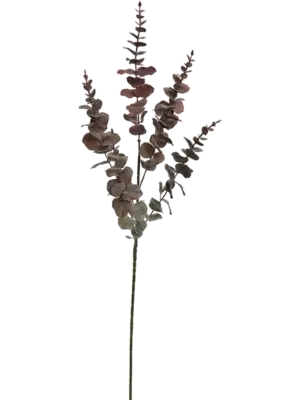 Large Plastic Burgundy