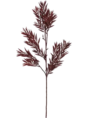 Branch Burgundy