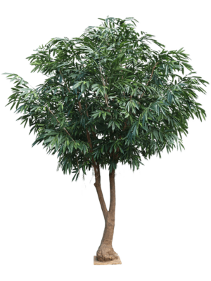 400cm Green
