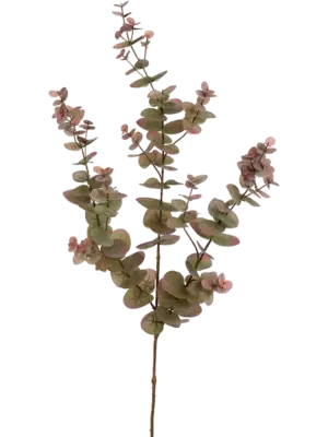 Green Pink