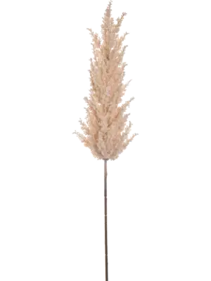 Spray Beige