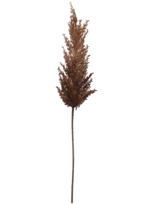 Spray Brown