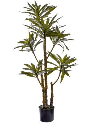 Plant Green