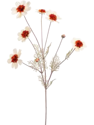 Cream