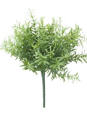 Bush