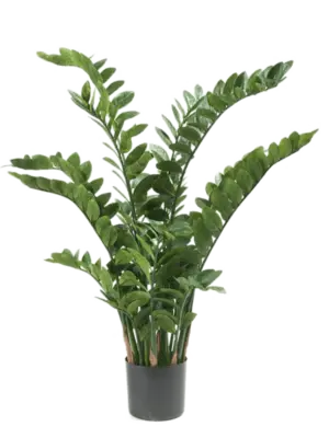 Tuft