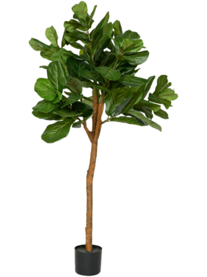 Branched