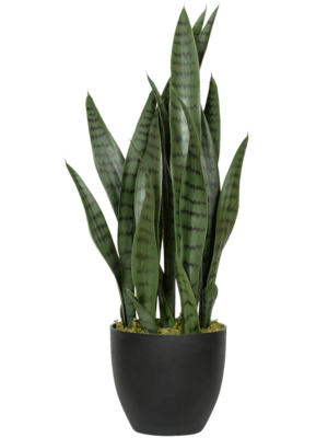 Tuft