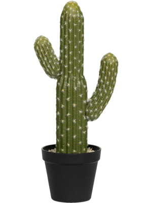 Tuft
